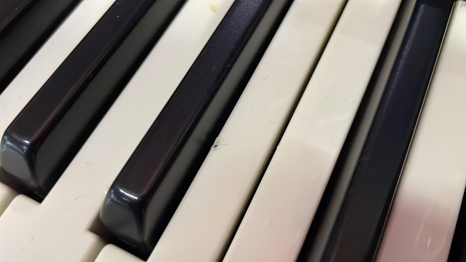 Roland G-1000 Workstation - immagine 3