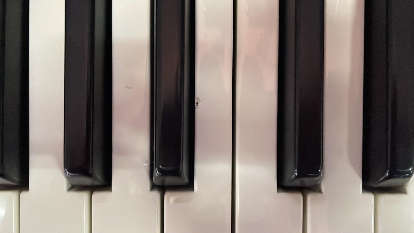 Roland G-1000 Workstation - immagine 2