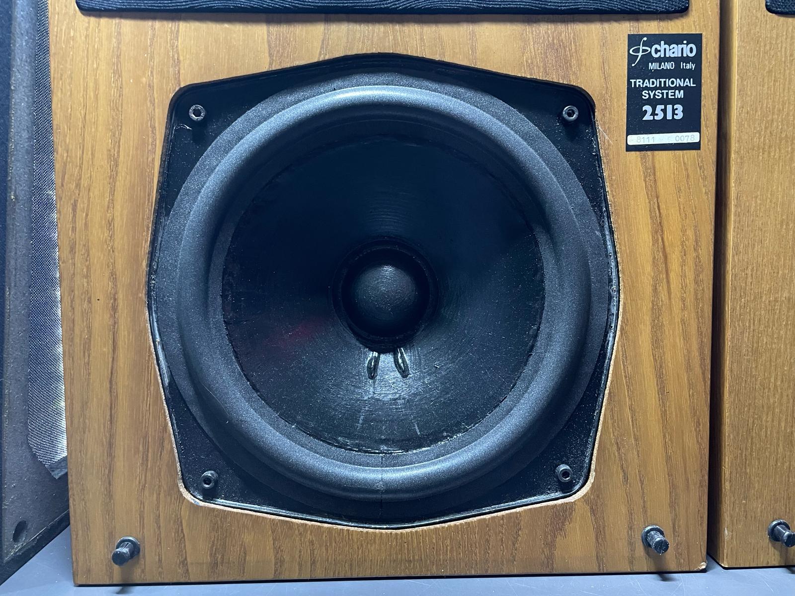 CHARIO TS 2513 Coppia Altoparlanti - immagine 2