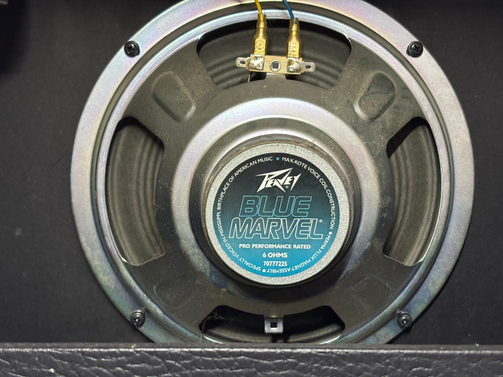 Peavey Envoy 110 Transtube 40W + Footswitch - immagine 3