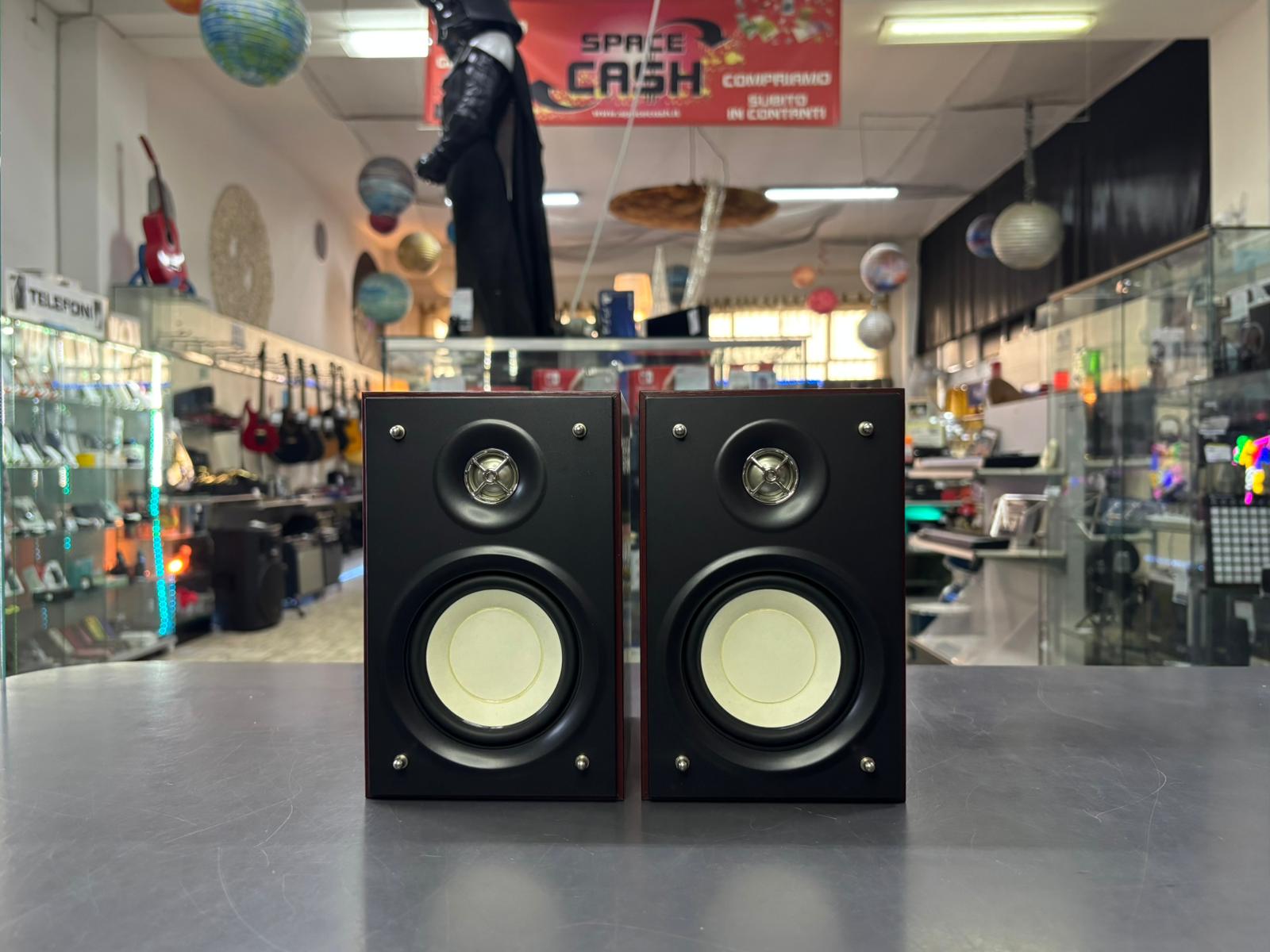 TEAC LS 101 Coppia Altoparlanti Hi-Fi