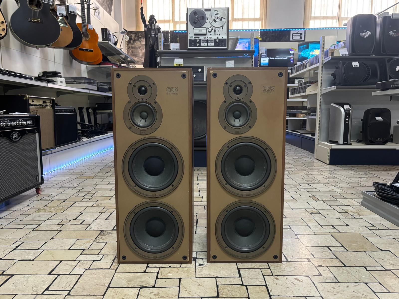 ESB CDX-L6 Coppia Altoparlanti Vintage