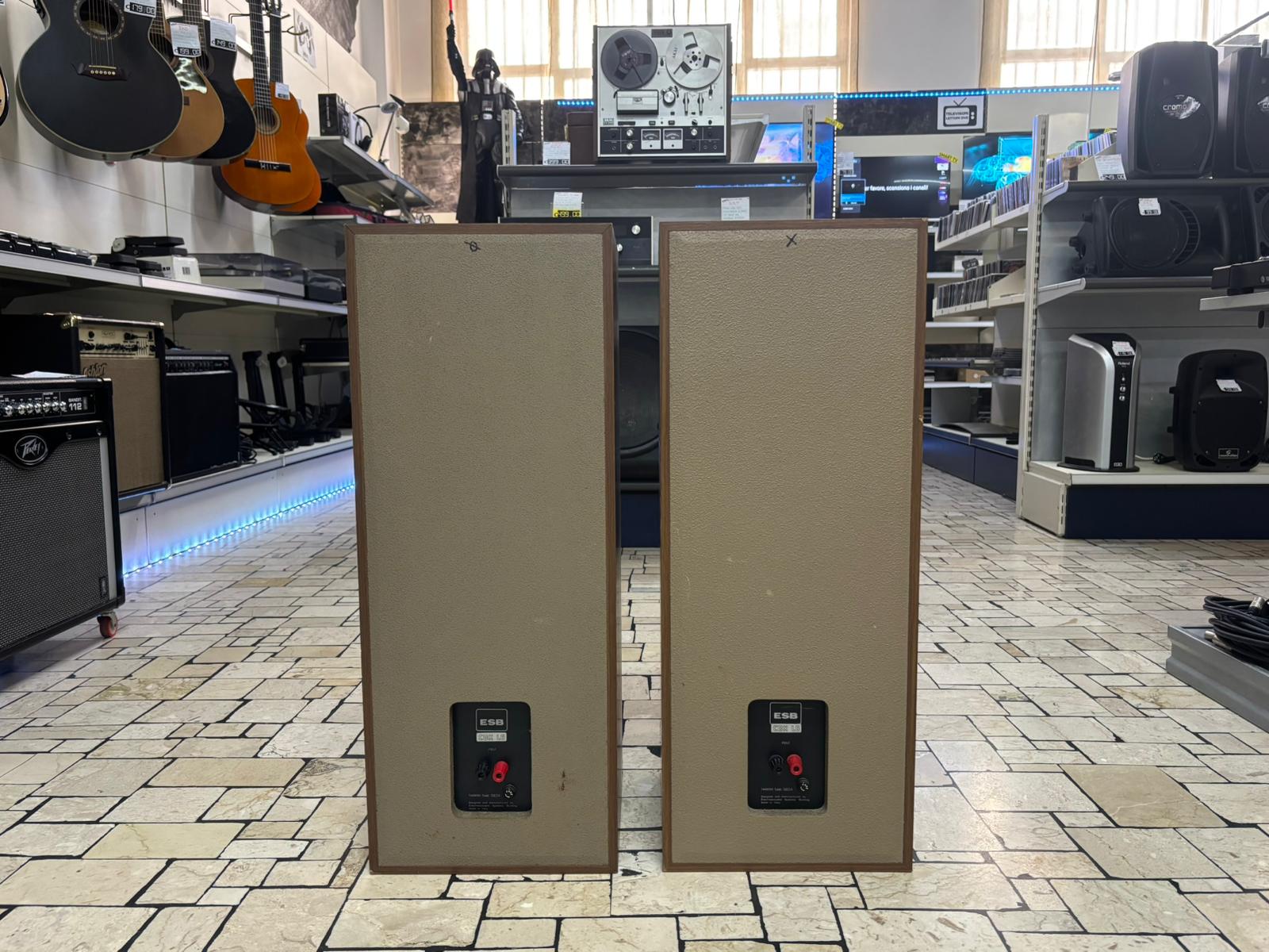 ESB CDX-L6 Coppia Altoparlanti Vintage - immagine 4