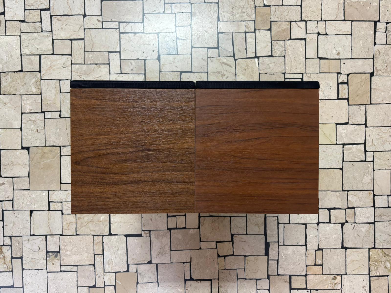 ESB CDX-L6 Coppia Altoparlanti Vintage - immagine 2